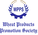 media Logo