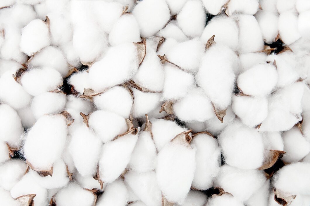 Global Cotton Production Forecast Cut by 310,000 Bales