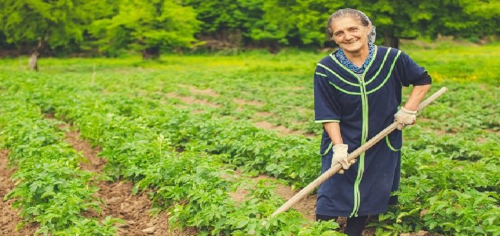 Decline of 1.505 million hectares in Kharif crop cultivation area
