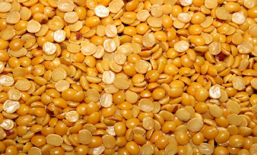 Bullish Trend Continues in Tur Market; Focus on ₹10,000/Quintal Mark