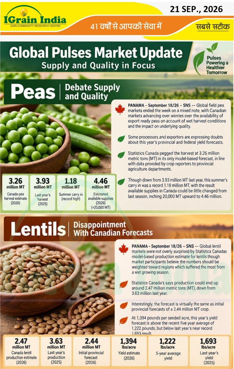 Global Pulses Market Updated; Supply and Quality in Focus