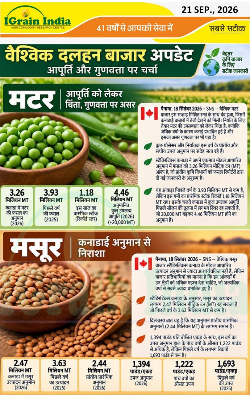 वैश्विक दलहन बाजार अपडेट; आपूर्ति और गुणवत्ता पर चर्चा
