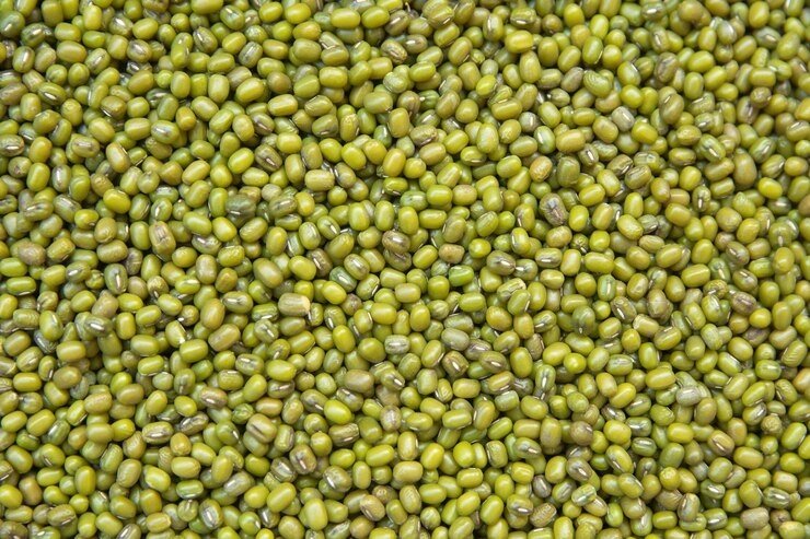News Capsule/न्यूज कैप्सूल: राजस्थान में MSP से 15% नीचे बिक रही मूंग