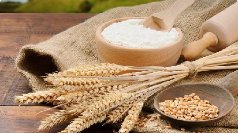 Sharp Decline in Global Wheat Flour Trade