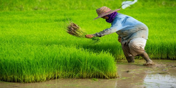उड़ीसा एवं आंध्र प्रदेश सहित कुछ अन्य राज्यों में भारी बारिश की संभावना