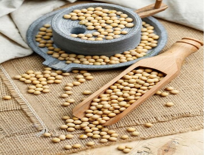 Focus on Soybean and Groundnut Crops