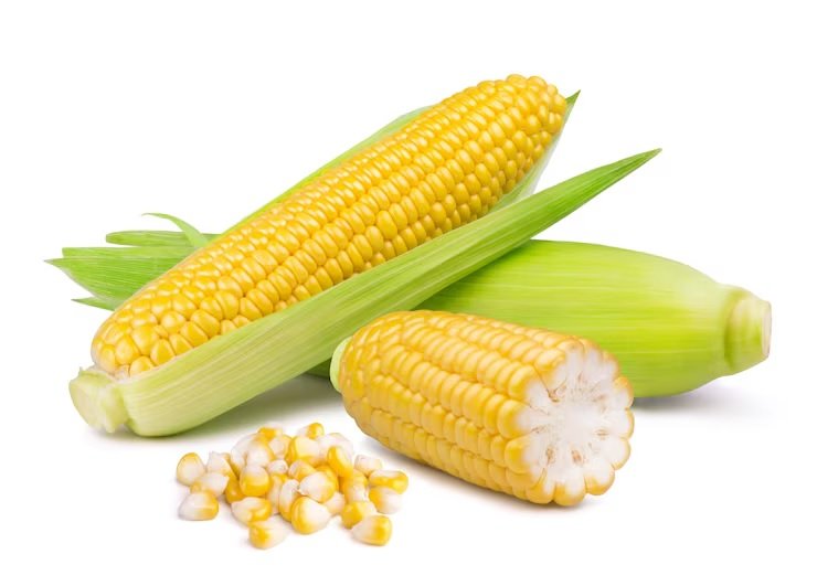 Corn International News