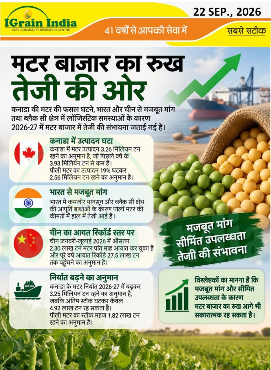 मटर बाजार का रुख तेजी की ओर