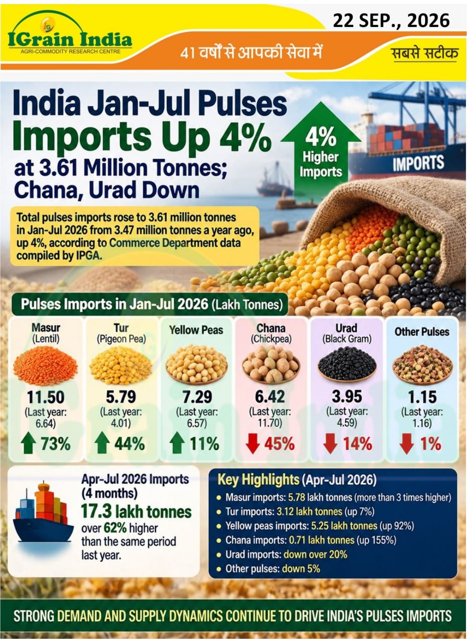 India Jan-Jul Pulses Imports Up 4%