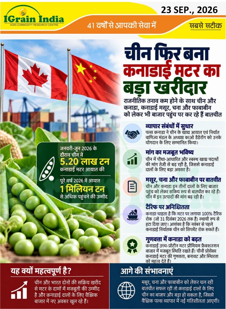 चीन फिर बना कनाडाई मटर का बड़ा खरीदार