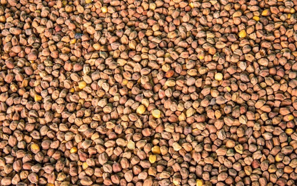 Chickpea Prices Likely to Remain Firm on Festive Demand and Tight Supply