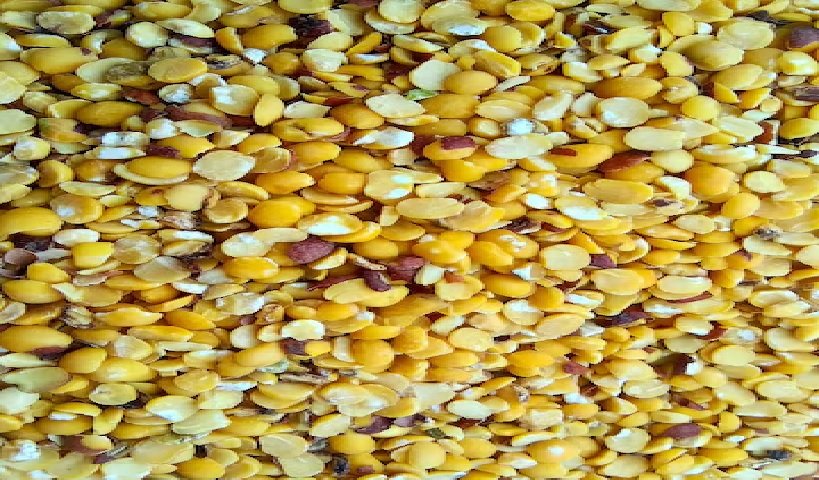 Myanmar’s Tur (Pigeon Pea) Production Estimated to Rise 10–15%