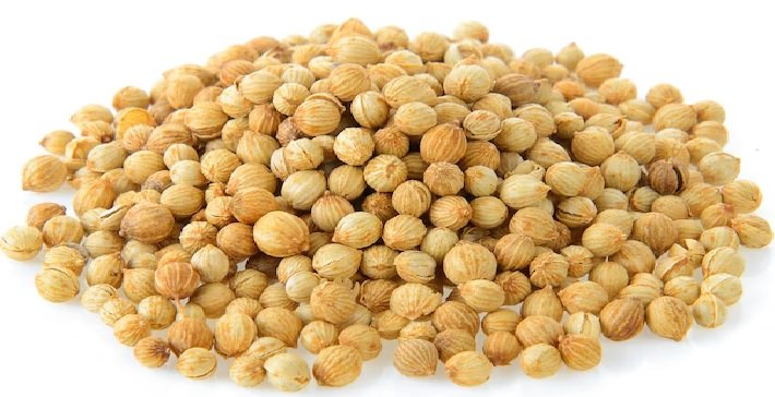 धनिया - कीमतों में तेजी/Coriander – Prices Rise
