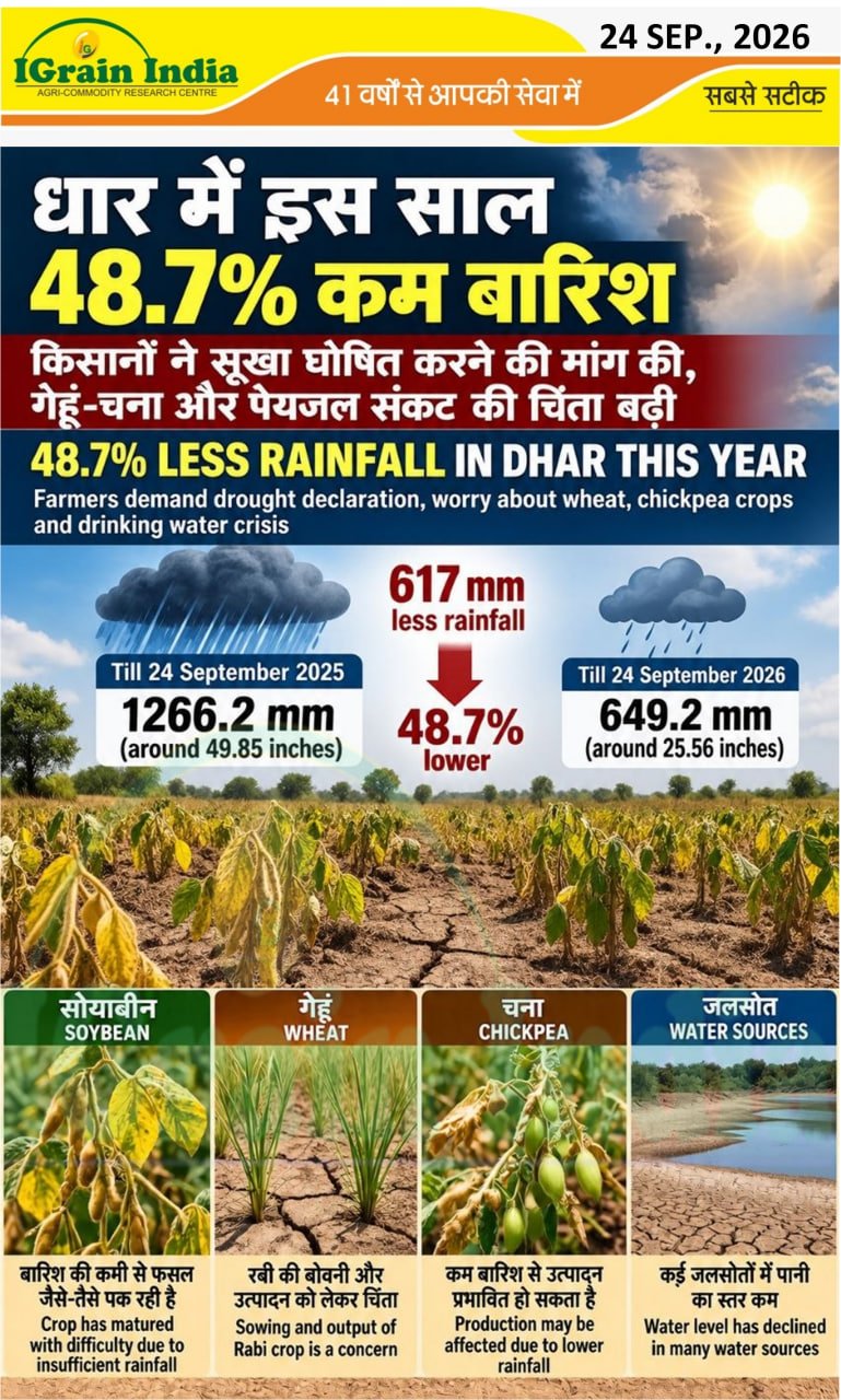 धार में इस साल 48.7% कम बारिश 48.7%/LESS RAINFALL IN DHAR THIS YEAR