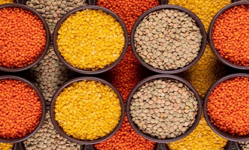 News Capsule: Chickpea, Lentil and Pea Markets Show Mixed Trend
