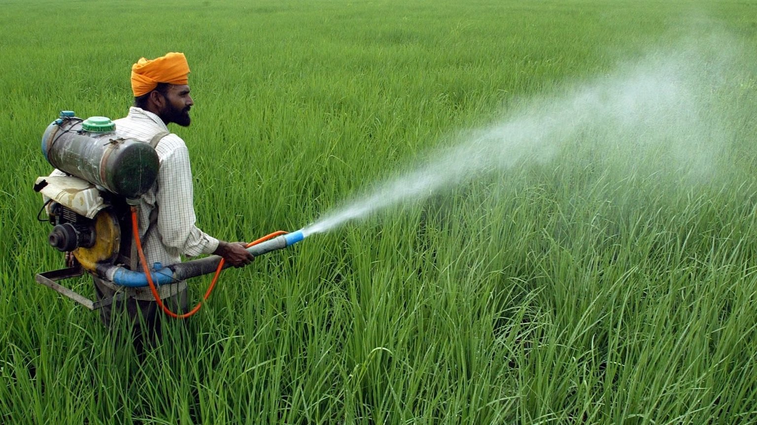 Estimated Fertilizer Demand for the Upcoming Rabi Season to Reach 35 Million Tonnes