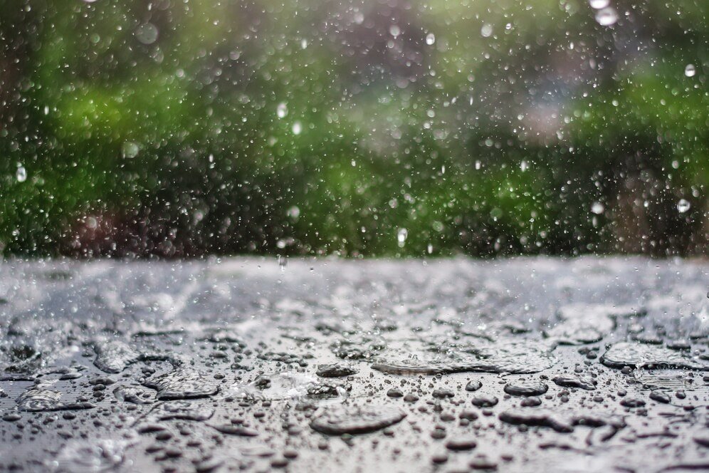 Heavy Rain Likely in Southern States