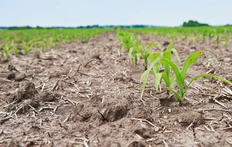 Central Team to Assess Drought in Karnataka and Maharashtra