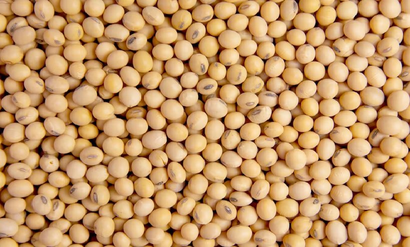 Weekly Review – Soybean