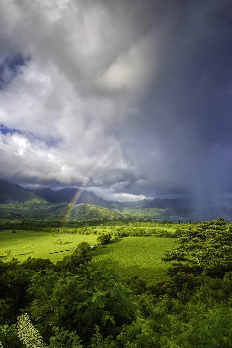 Stall in Monsoon's Withdrawal Brings Possibility of Rain to Several States