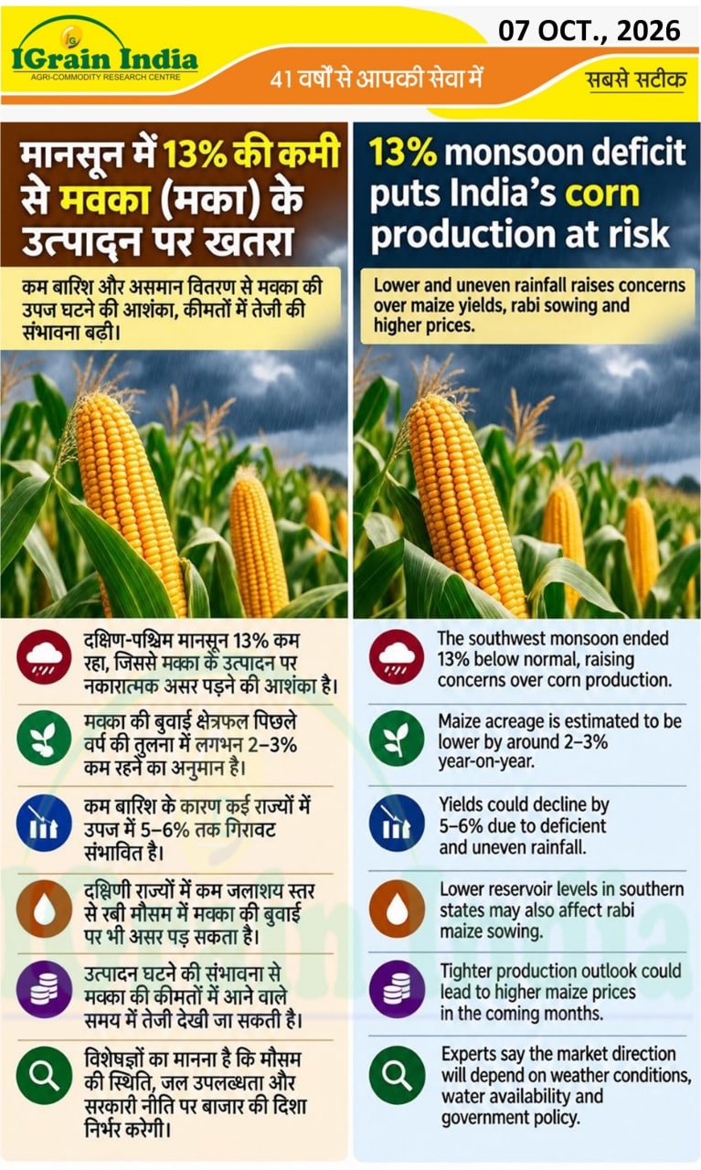 मानसून में 13% की कमी से मक्का के उत्पादन पर ख़तरा