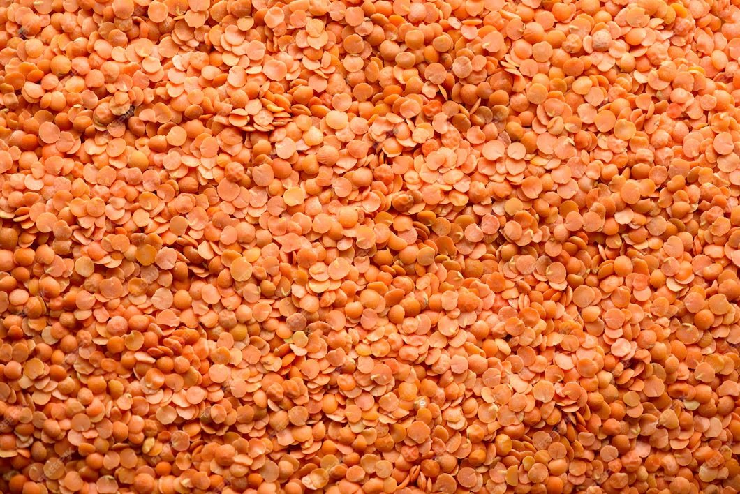 कनाडा से अगस्त में मसूर के निर्यात की गति धीमी रही