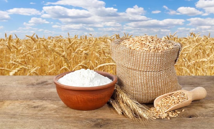 Wheat International News
