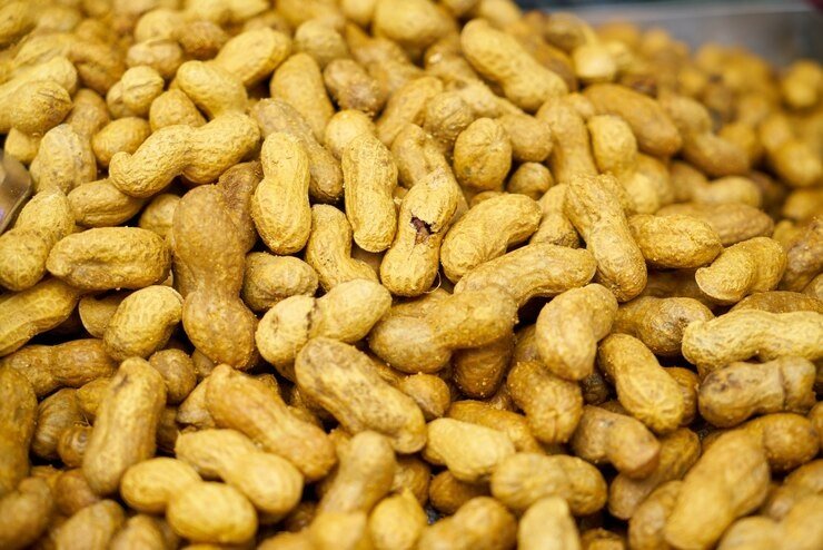 Projected 1% Decline in Kharif Groundnut Production