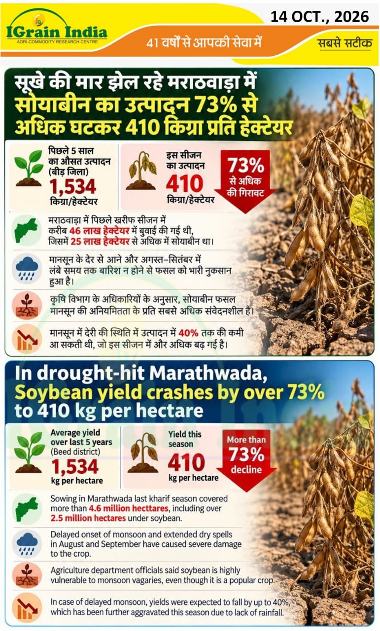 सूखे की मार झेल रहे मराठवाड़ा में सोयाबीन का उत्पादन 73% से अधिक घटकर 410 कि.ग्रा. प्रति हेक्टेयर