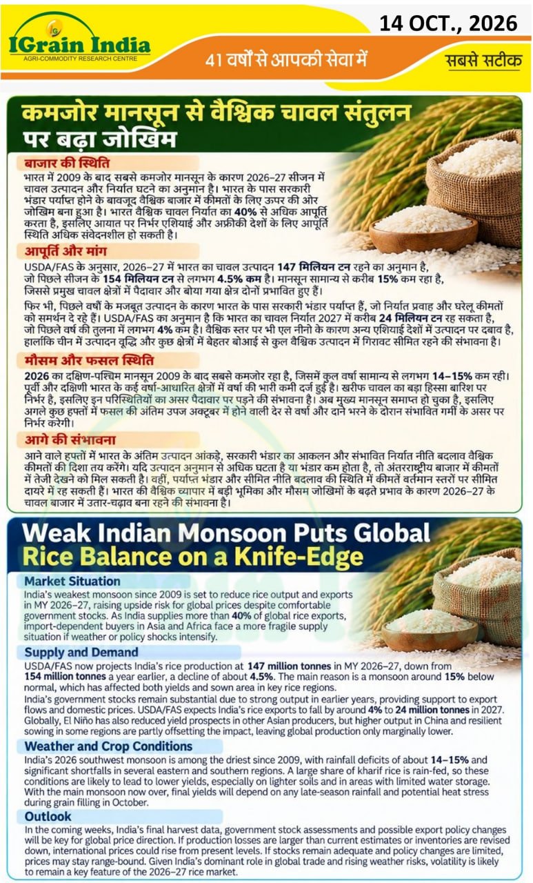 कमजोर मानसून से वैश्विक चावल संतुलन पर बढ़ा जोखिम