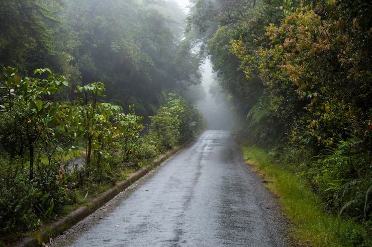 Monsoon Rainfall 15 Percent Below Long-Term Average