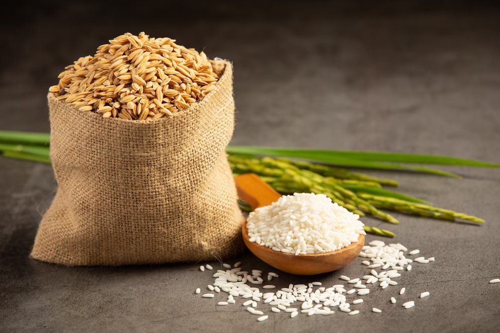 Weekly Review - Paddy and Rice
