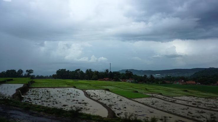 Northeast Monsoon Heads Toward Kerala and Karnataka
