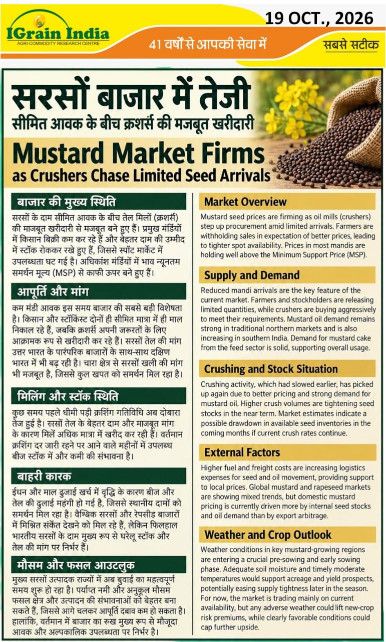 सरसों बाजार में तेजी/Mustard Market Firms
