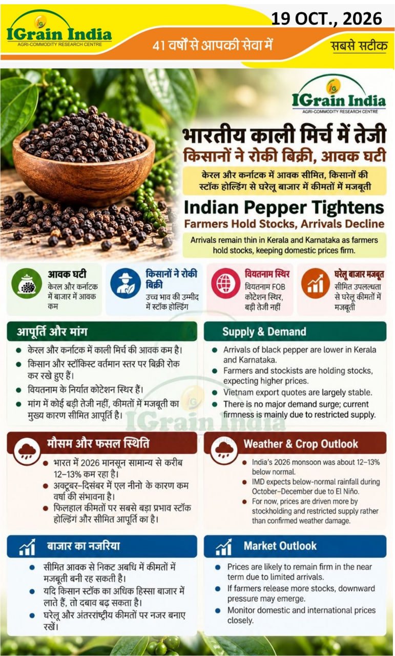 भारतीय कालीमिर्च में तेजी/Indian Pepper Tightens