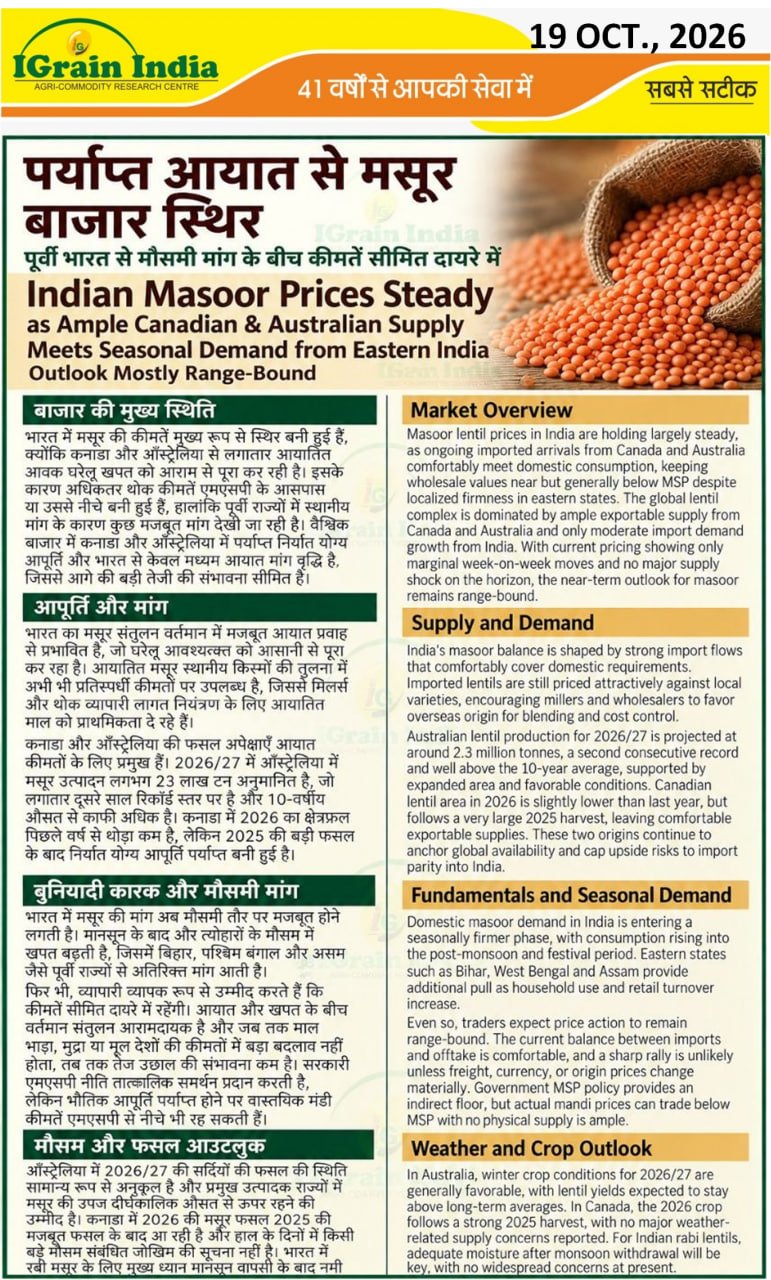 पर्याप्त आयात से मसूर बाजार स्थिर/Indian Masoor Prices Steady