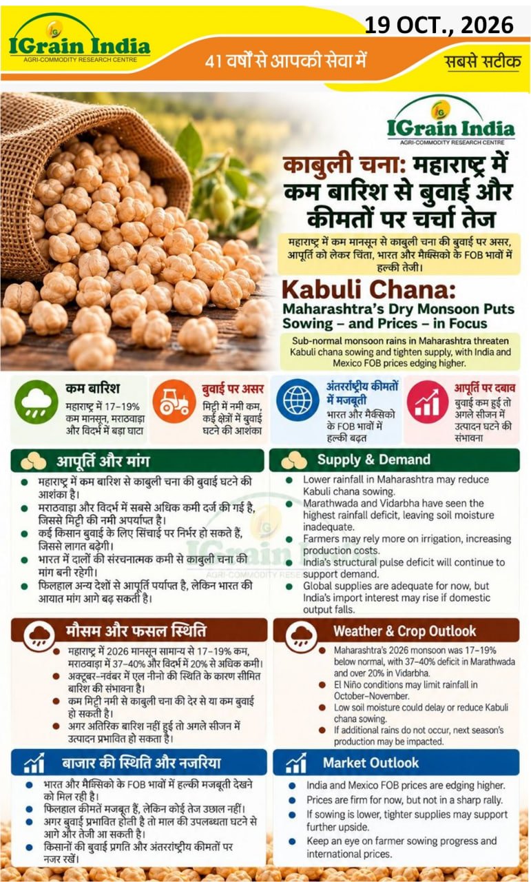 काबुली चना: महाराष्ट्र में कम बारिश से बुवाई और कीमतों पर चर्चा तेज