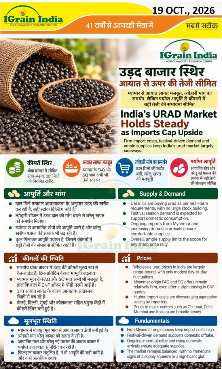 उड़द बाजार स्थिर; आयात से ऊपर की तेजी सीमित