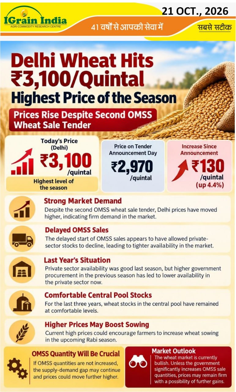 Delhi wheat hits Rs. 3,100/Quintal Highest price of the season