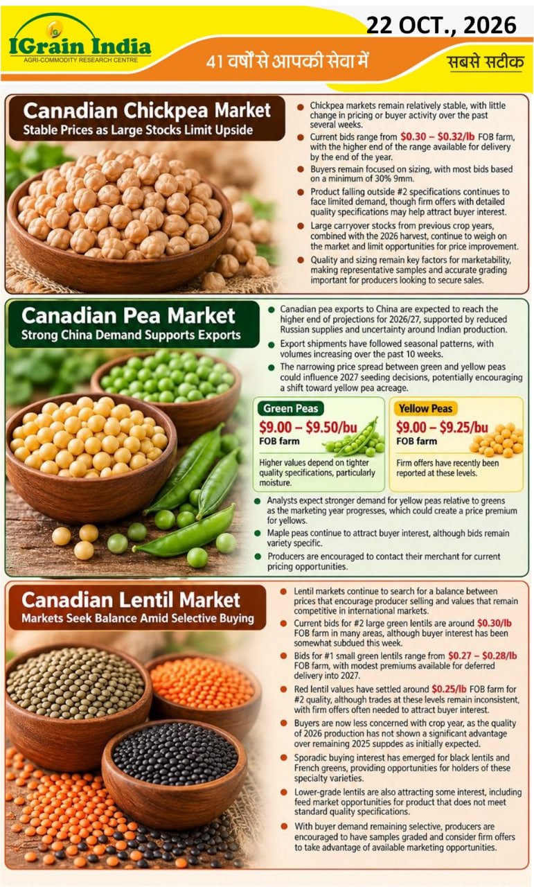 CANADA PULSES MARKET