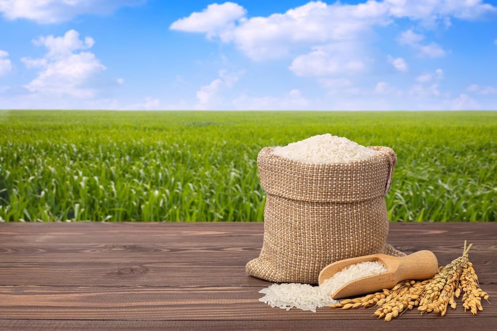 Weekly Review - Paddy and Rice