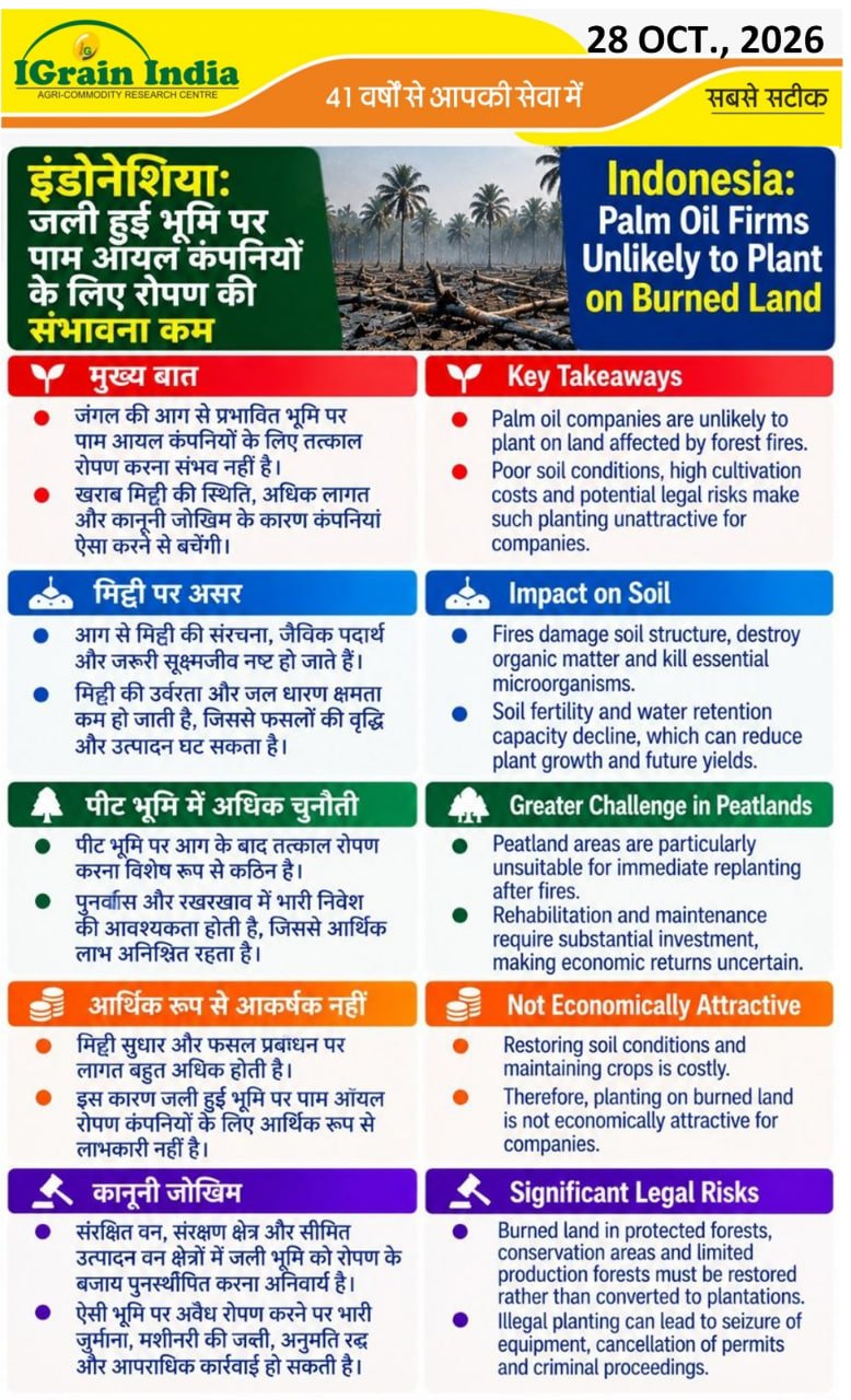 इंडोनेशिया: जली हुई भूमि पर पाम ऑयल कंपनियों के लिए रोपण के सम्भावना कम