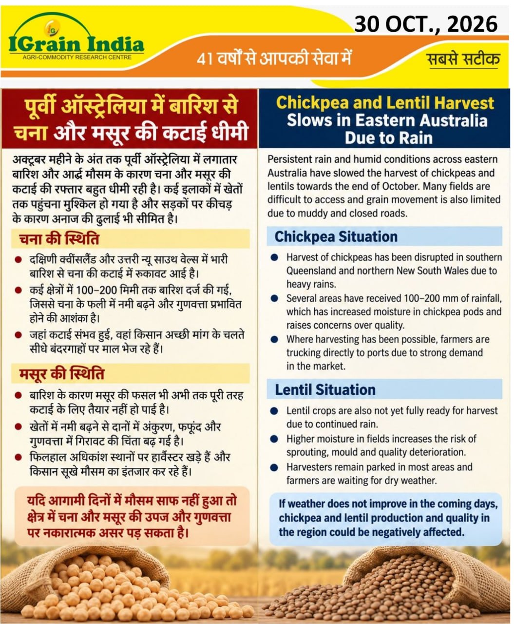 पूर्वी ऑस्ट्रेलिया में बारिश से चना और मसूर की कटाई धीमी