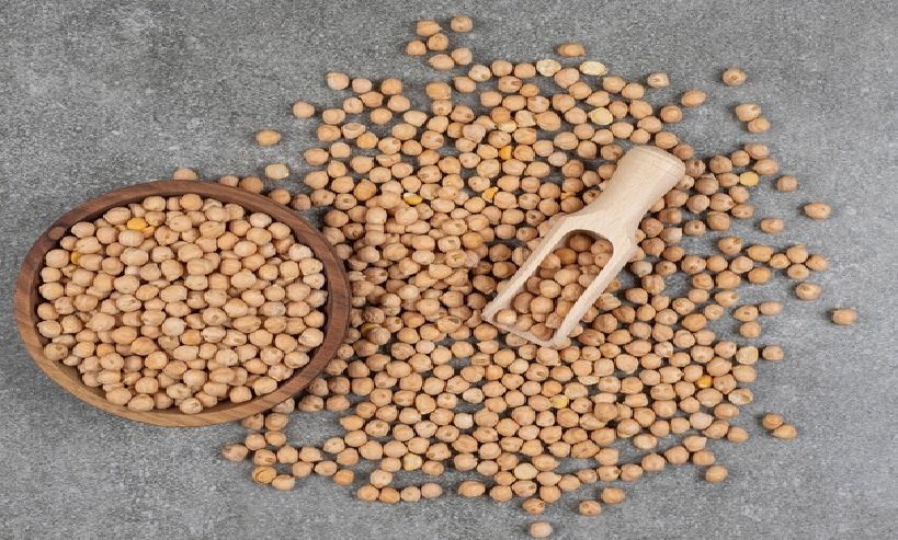 Chickpea Harvest Nearing Completion in Canada