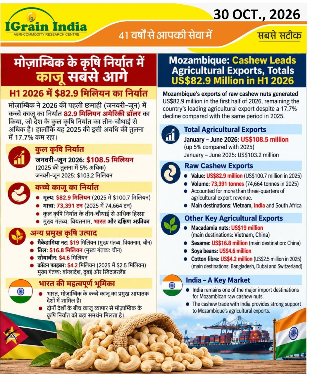 मोजाम्बिक के कृषि निर्यात में काजू सबसे आगे