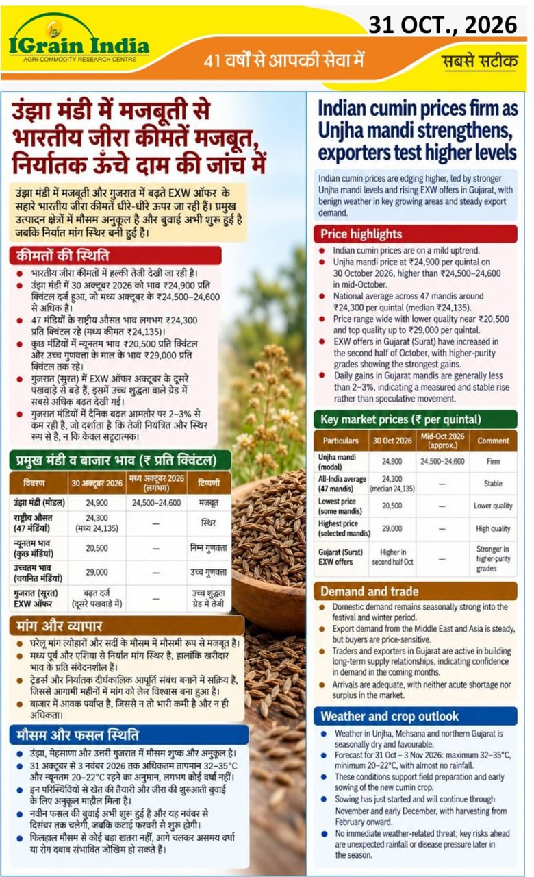 ऊंझा मंडी में मजबूती से भारतीय जीरा की कीमतें मजबूत