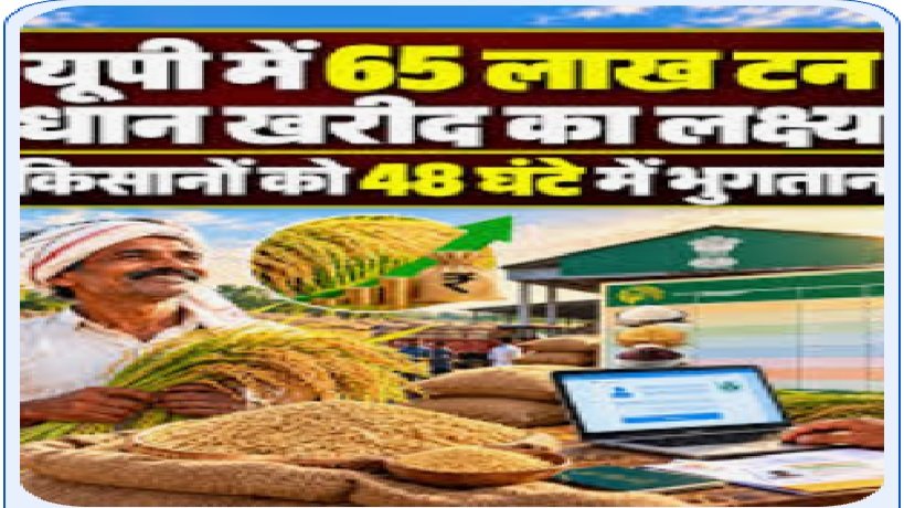 उत्तर प्रदेश में 65 लाख टन धान की खरीद का लक्ष्य