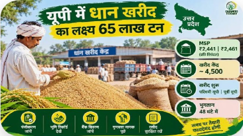 Target Set for Procurement of 6.5 Million Tonnes of Paddy in Uttar Pradesh