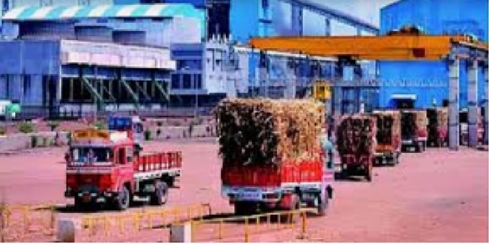 Additional Sales Permitted for Sugar Mills in the First Fortnight of November